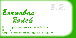 barnabas rodek business card